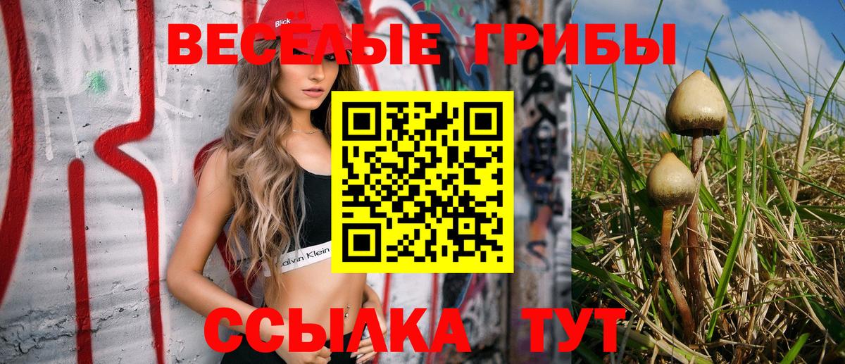 Саянск  Галлюциногенные грибы Psilocybine cubensis  Вход с VPN 