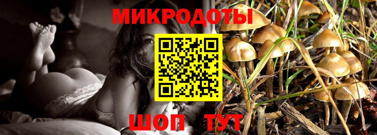 Галлюциногенные грибы мицелий Саянск