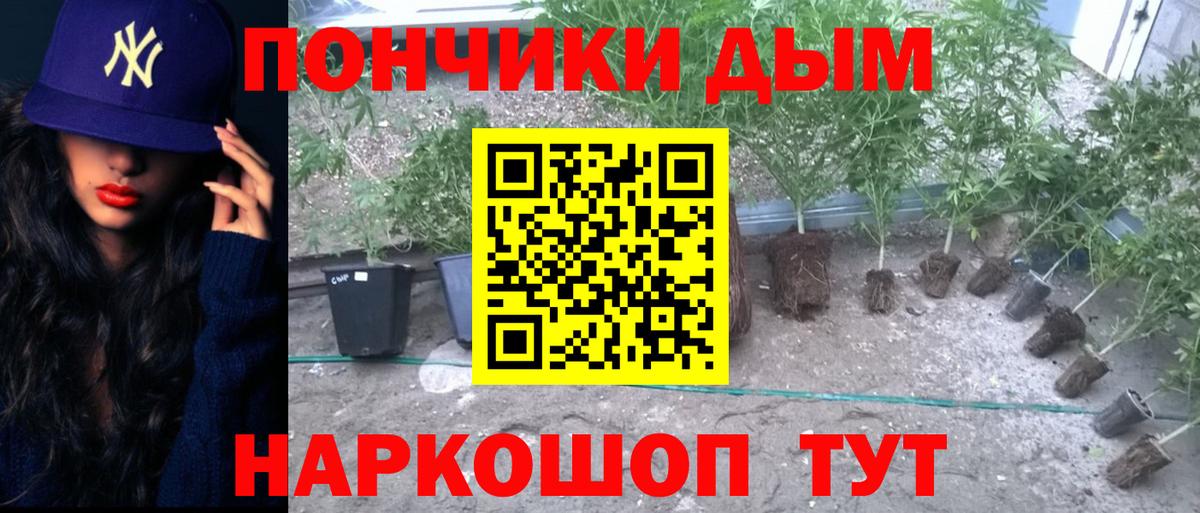 Саянск  МАРИХУАНА OG Kush  Канабис гибрид  Вход с VPN 
